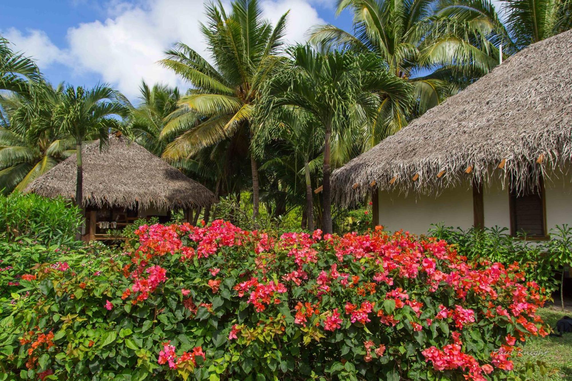 Etu Moana Boutique Beach Villas - Adults Only Arutanga Bagian luar foto