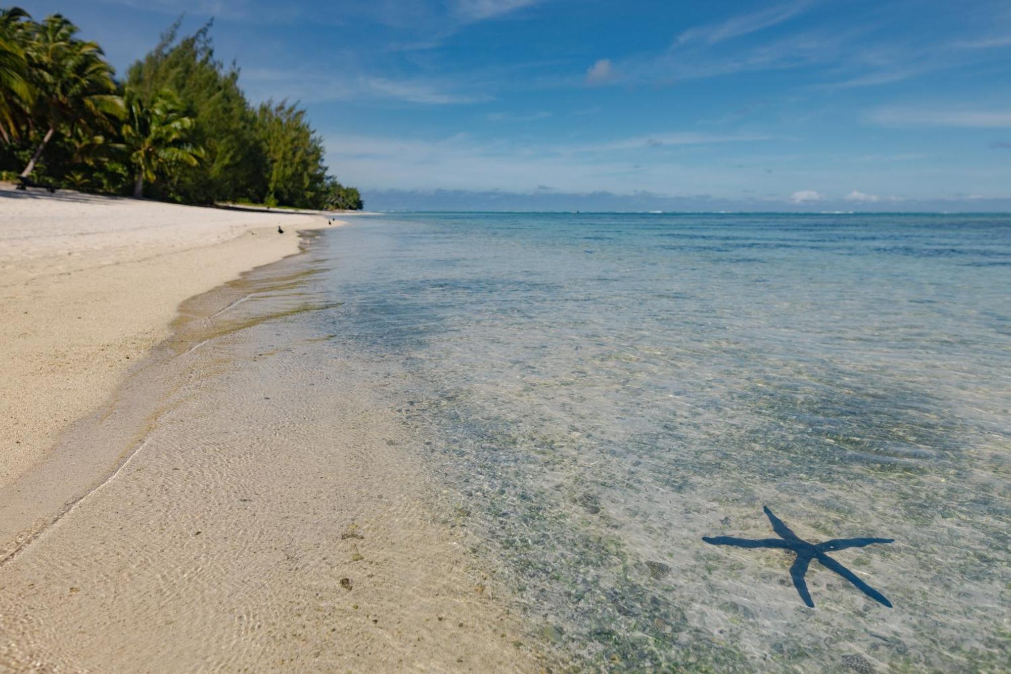 Etu Moana Boutique Beach Villas - Adults Only Arutanga Bagian luar foto