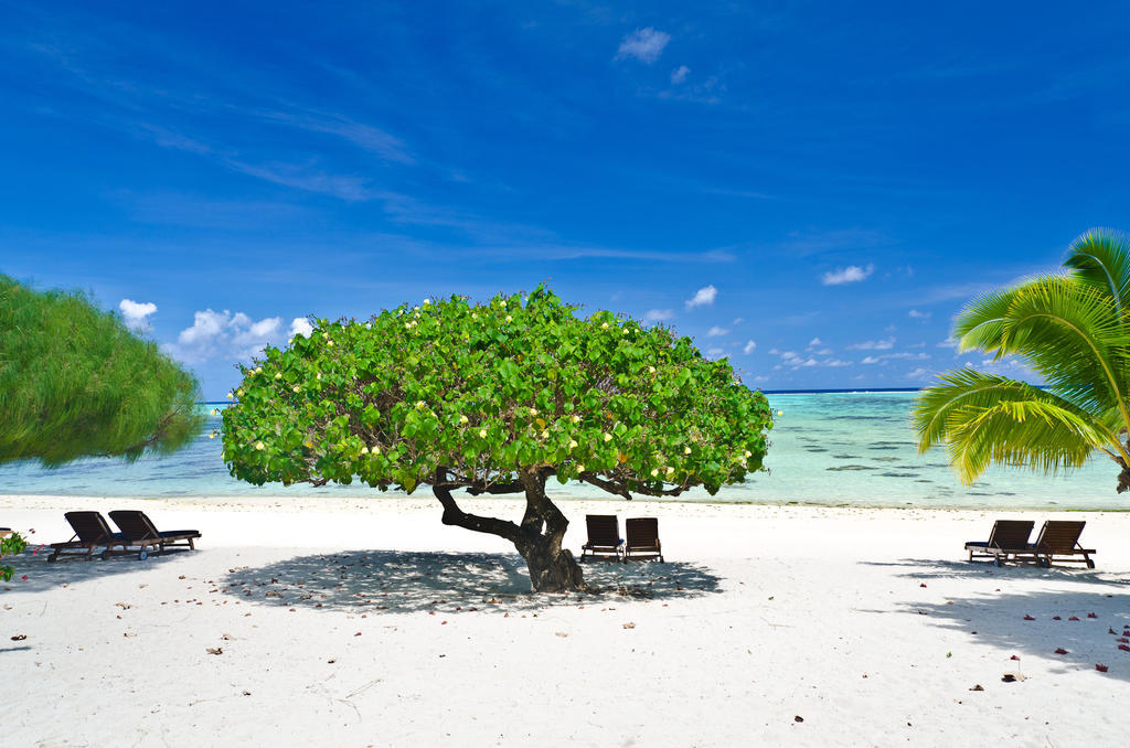 Etu Moana Boutique Beach Villas - Adults Only Arutanga Bagian luar foto
